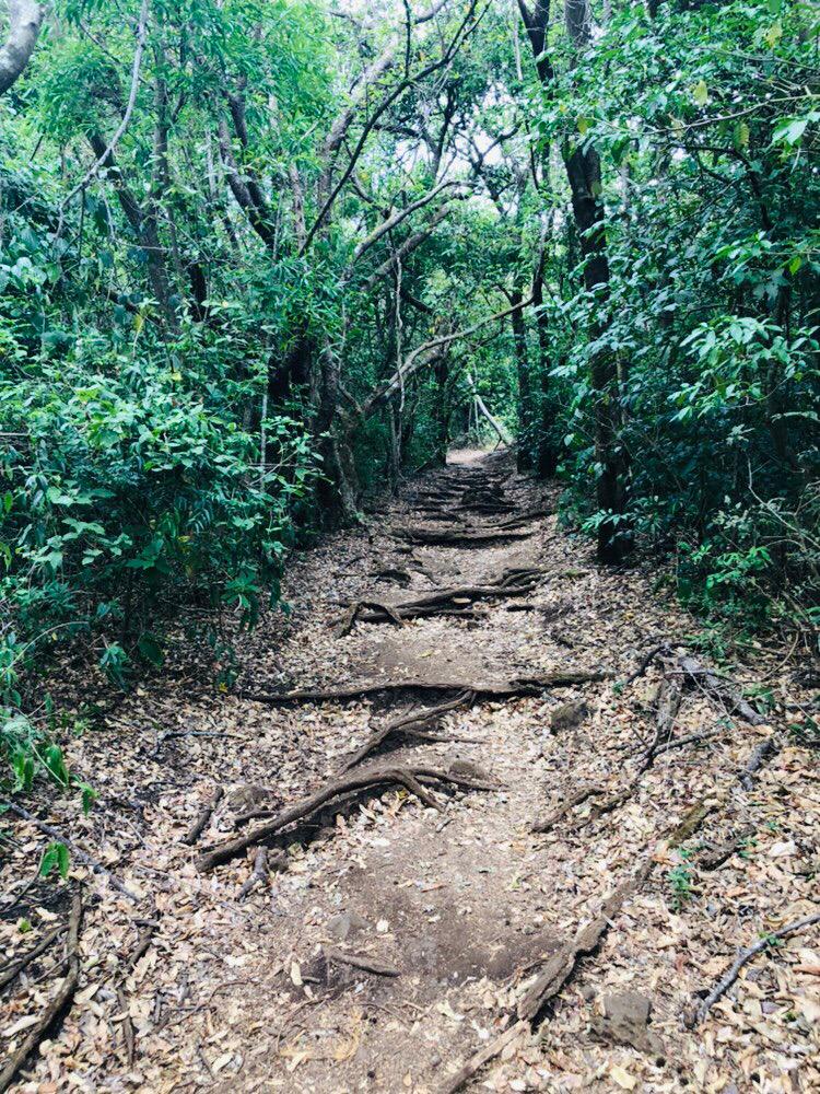 costa rica, parc national, volcan rincón de la vieja, santa maría
